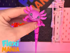 Flexi Axolotl | One-Piece Articulated Axolotl Cute