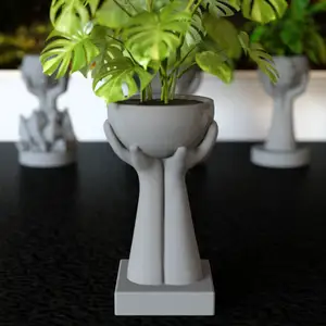 Hands holding flower pots