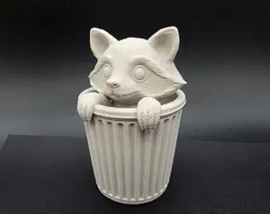 Trash Panda (Raccoon)