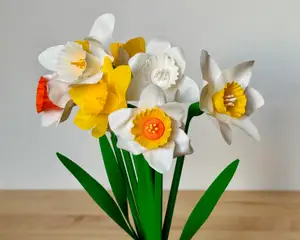 Bouquet of Easter Daffodils