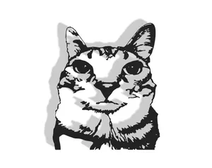 Cat Decor