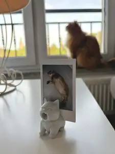 Yawning cat photo holder