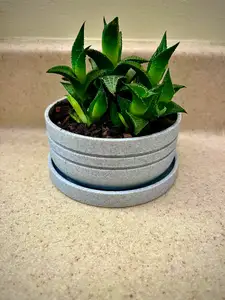 Plant Pot with Drainage and Tray (4in Diameter)