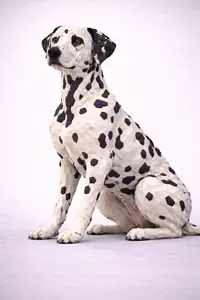 Dalmatian Dog Low Poly