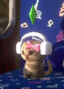 Kitten cat Plumbob headphones sims meme on train