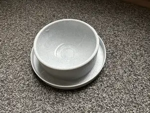 Cat Food Dish (with anti-ant moat)