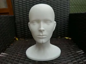 Mannequin head