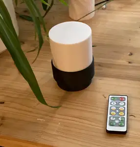 Lamp #66 - Night Light (Battery-Remote)
