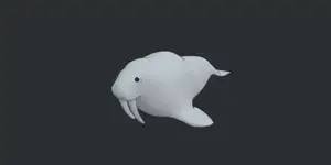 Walrus