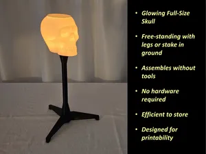 Skull Lamp