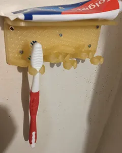 Wall Mounted Toothbrush Holder
