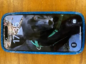 iPhone 16 Pro Case with Wallet