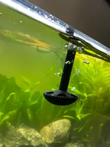 Aquarium funnel