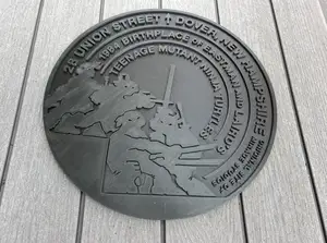 TMNT Manhole Cover