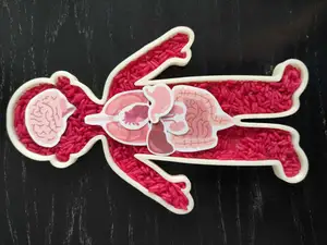 Human body