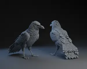 Preening (Puffing) Raven