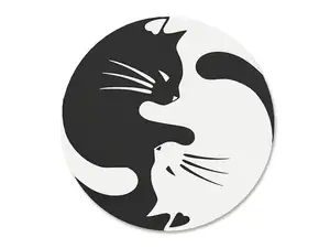 Black Cat, White Cat