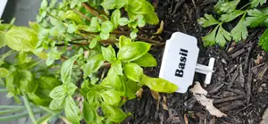 Garden Signs - No Supports Required - Multi-color