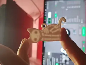 Cat skeleton keychain