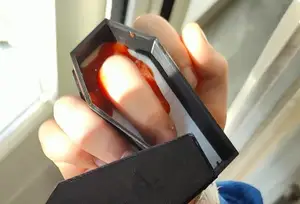Psst, I found a DEAD FINGER! Halloween prank for kids