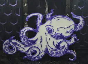 2D octopus