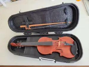 violin and case (or viola or cello)