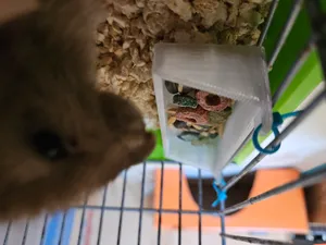 Feeder for hamster