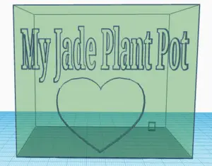 Jade plant pot with drainage hole