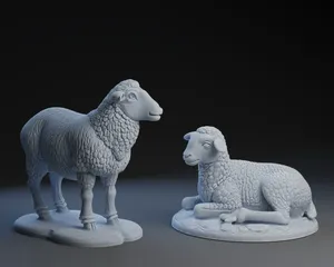 Nativity Sheep Set