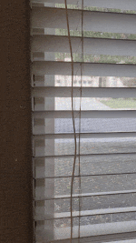 Motorized Blinds Tilt Servo Control through Home Assistant
