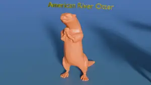 American River Otter