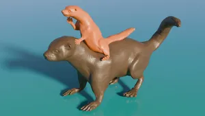 American River Otter riding Giant Otter