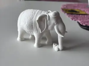 Indian Elephant