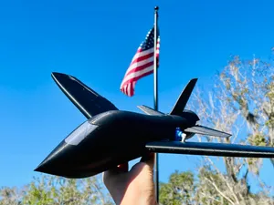 Black Falcon 50mm EDF Optional FPV RC Airplane