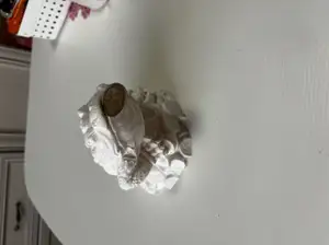 Money frog