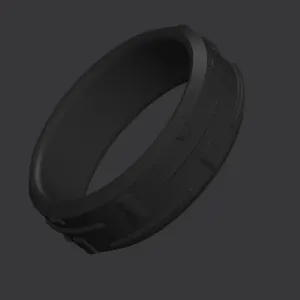 bague modèle auri unisex
