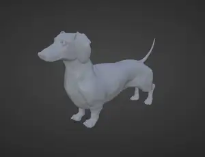 Dachshund Model - Wiener Dog - Frank