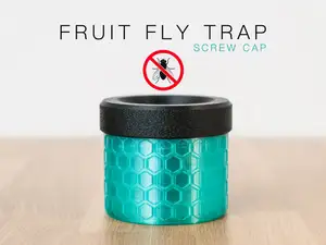 Fruit Fly Trap