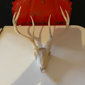 Mini Deer Skull/Jackelope fridge magnet (7) 5x2 mm magnets
