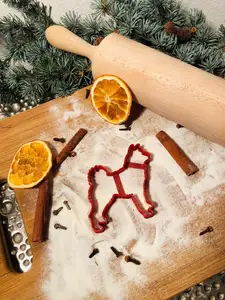 Shiba coockie cutter