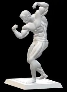 Figure - Arnold Schwarzenegger (1)