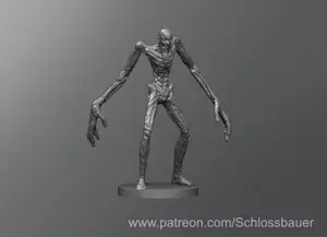 SCP 096