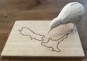 kiwi bird - moneybox