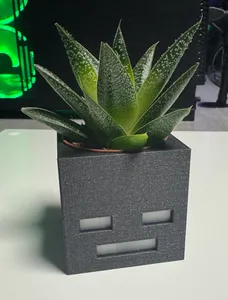 Minecraft Witherhead Planter MMU