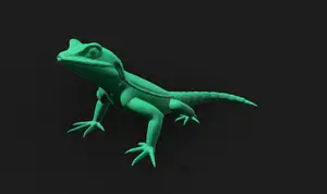 Lizard