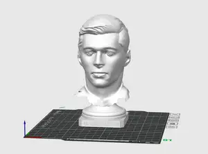 Max Verstappen Bust