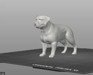 Rottweiler Dog Model
