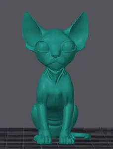 Sphynx cat