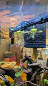 Autoleveling Aquarium Floating Plant Barrier