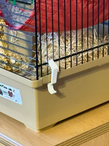 Hook for a hamster cage